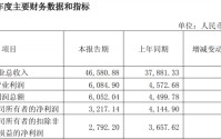 索辰科技高溢价并购频现，标的质量参差不齐，净利下滑困局难解