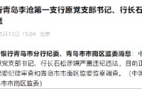工商银行青岛李沧第一支行原党支部书记、行长石松被查