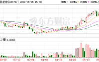 胜科纳米大宗交易成交30.00万股 成交额1140.60万元