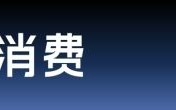当1亿年轻人涌进B站“赛博过年” ，品牌如何入场？