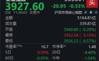 A股低开低走，沪指半日下跌0.53%