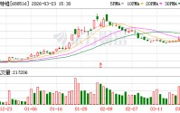 奥特维：公司无逾期担保的情况