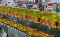 金龙鱼一工厂发生触电致死事故，官方调查报告公布