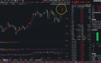 “宁王”超预期业绩提振市场，华宝基金创业板综增强ETF（159292）大涨创上市以来新高！