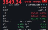 A股反弹略显分化，沪指半日涨0.95%