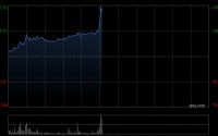 欧洲天然气价格暴涨 大众公用早盘放量升逾30%