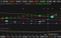 英集芯虚假陈述案索赔窗口开启：1月6日买入、1月7日后卖出或持有的投资者可参与