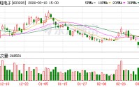 景旺电子：截至本公告披露日，公司及子公司对所有子公司实际提供的担保金额为人民币79.30亿元