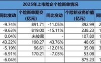 巨头大个险改革进行时：人力再少10万，难题还在出清中