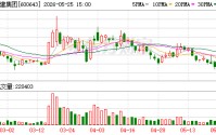 爱建集团：2025年度，金融业及融资租赁业营业收入约占公司营业总收入的71%