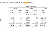 市值四天折损近300亿港元，思格新能产品、市场依赖症何解