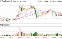 深天马A：2025年公司面板级智能天线产品助力终端民用多应用场景突破