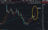 芯片股暴涨！寒武纪、澜起科技向上突破！华宝基金科创人工智能ETF（589520）再涨6%冲击历史高点！