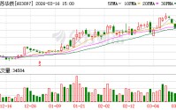 江苏华辰：公司始终高度重视中小投资者权益保护