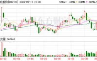 小崧股份关联参股公司贷款违约 逾期担保金额达1.55亿元