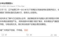 小米SU7“炸出烟花”？官方辟谣！