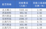 73亿持仓浮出水面，牛散章建平一季报动作频频，这些个股被重点布局