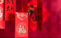 亲探！支付机构抢抓春节消费窗口，外国人来华过年畅享丝滑支付