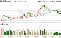 中材科技：2025年隔膜国际客户销量同比增长