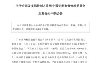 “95后”美女董事长被查！