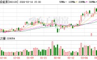 电投能源：截至2025年9月30日公司普通股股东总数为27062户