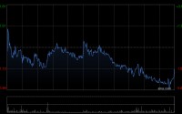 大摩：预计绿城中国未来60天股价下跌 公司或发盈警