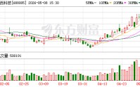 因“1200亿大单”误导陈述被罚后，容百科技董秘辞职，85后副总接任但暂时“无证”