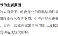 ST绝味上市首亏：主业失速、投资拖累，产能阶段性过剩待解