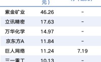 中东资本巨头，大举加仓A股