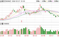 锡业股份：2025年年度归属于上市公司股东的净利润是1966179528.75元