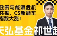 政策与能源危机共振，CS新能车指数上涨