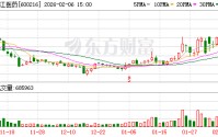浙江医药：公司已经建立了财务共享体系