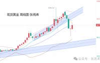张尧浠:高油价与高通胀时代来临 金价预在乱局之中震荡上行