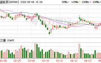 恒盛能源：实际控制人杜顺仙拟减持不超3%股份