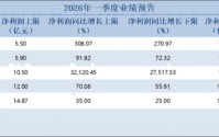 锂电上游业绩大翻身！天华新能一季度净利预增超300倍