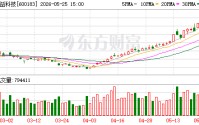 生益科技5月25日大宗交易成交330.82万元