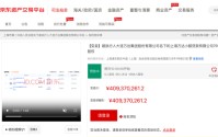王健林名下4亿元金融资产遭变卖