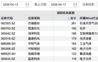 261家机构，“盯上”一家公司