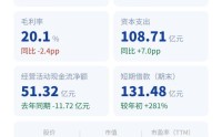 中芯国际：建厂、借钱、扩产