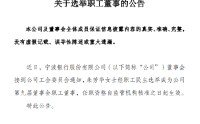 宁波银行：选举朱芳华担任职工董事