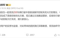 领克Z20语音误关大灯酿事故，反思智能汽车“过度创新”，车企高官：技术竞赛重要，但不要太激进｜聚焦“3・15”