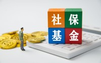 全国社保基金副理事长王文灵被查，长期在金融领域任职