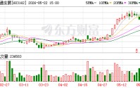 海通发展：深耕干散货航运赛道蓄力前行