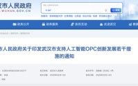利好来了！事关人工智能，武汉最新发文