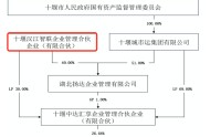 投资大佬龚虹嘉现身久量股份，此前多起重组案遇阻，这次有什么打算？