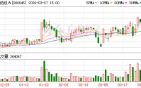 深纺织A：2025年年度归属于上市公司股东的净利润是68418663.02元