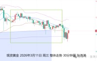张尧浠:美元走强加通胀担忧 金价仍保持震荡上行趋势