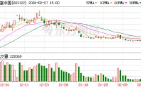 合富中国：连续十二个月累计诉讼金额约1.42亿元