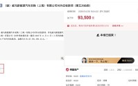 威马汽车1.275亿债权9.35万元成交，无原始材料、不承诺可收回