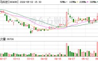 万马科技：公司暂未与特斯拉达成合作